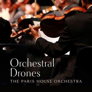 我把寡妇日出了白浆
